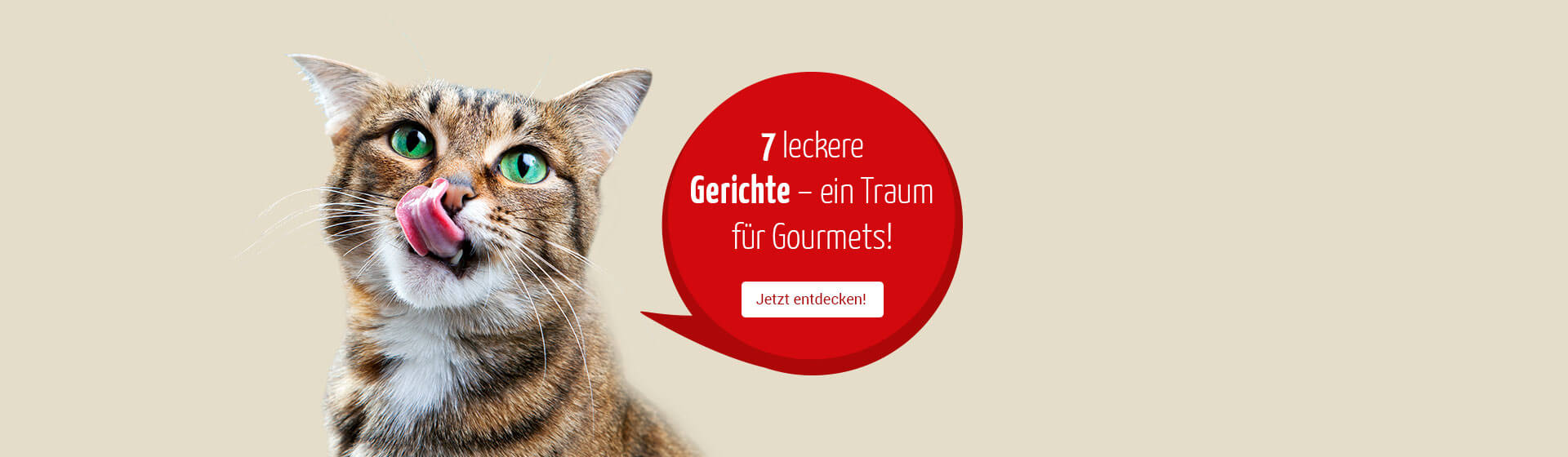 7 leckere Gerichte - ein Traum für Gourmets!